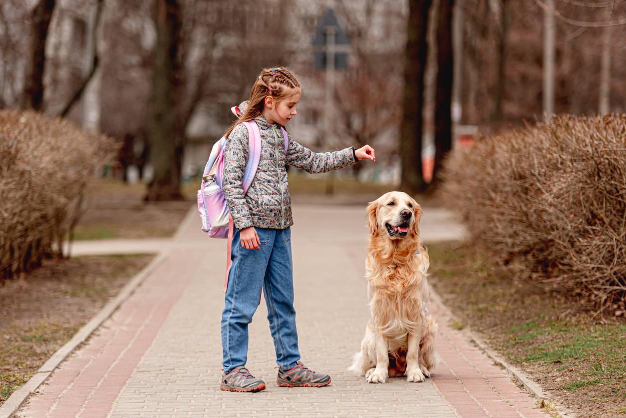 Smooth Transitions: Helping Pets Adjust as Kids Go Back to School
