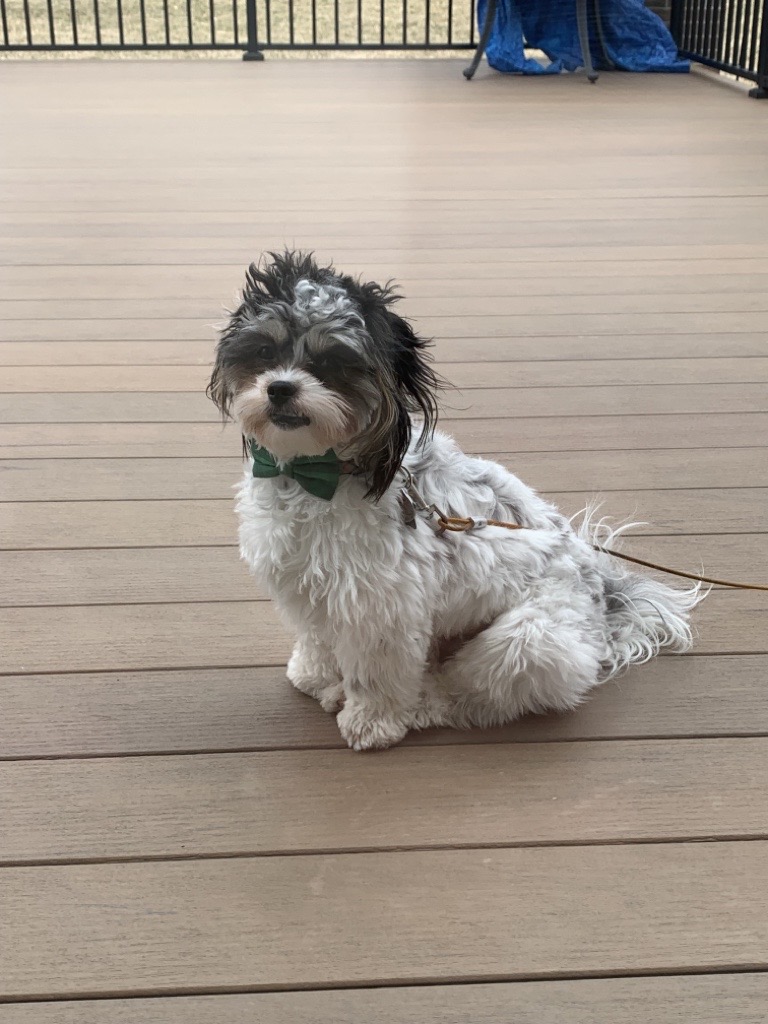Walter