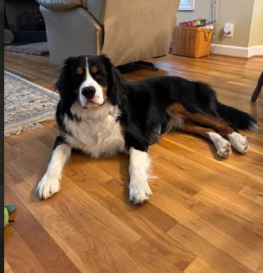 Penny and Rio