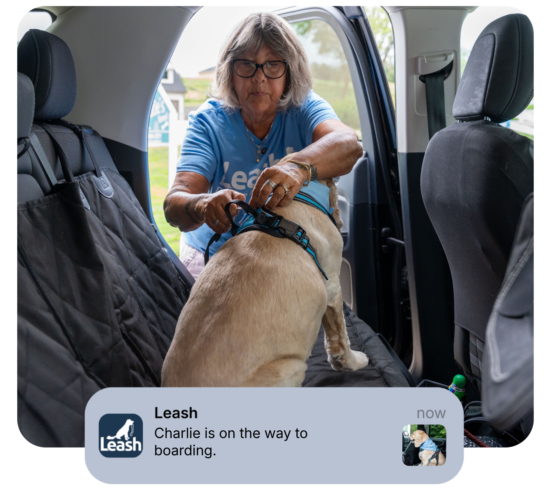 Leash driver securing a dog with ride notification